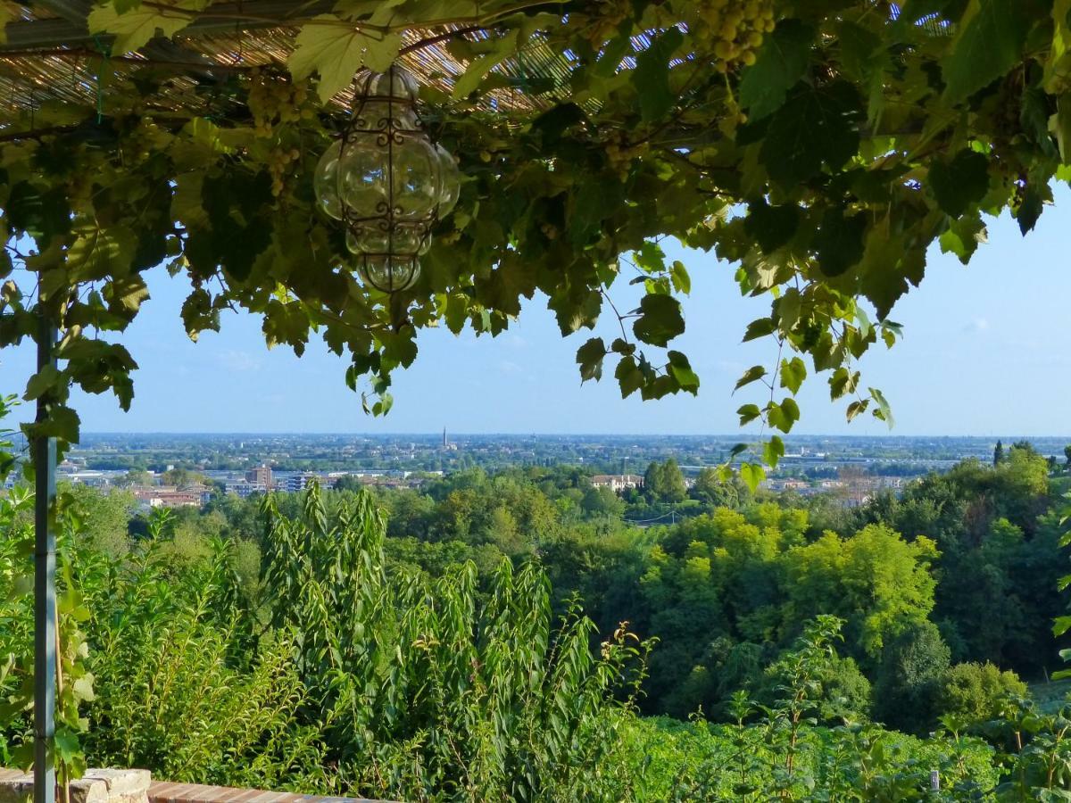 Podere Di Costabella Conegliano Exteriér fotografie