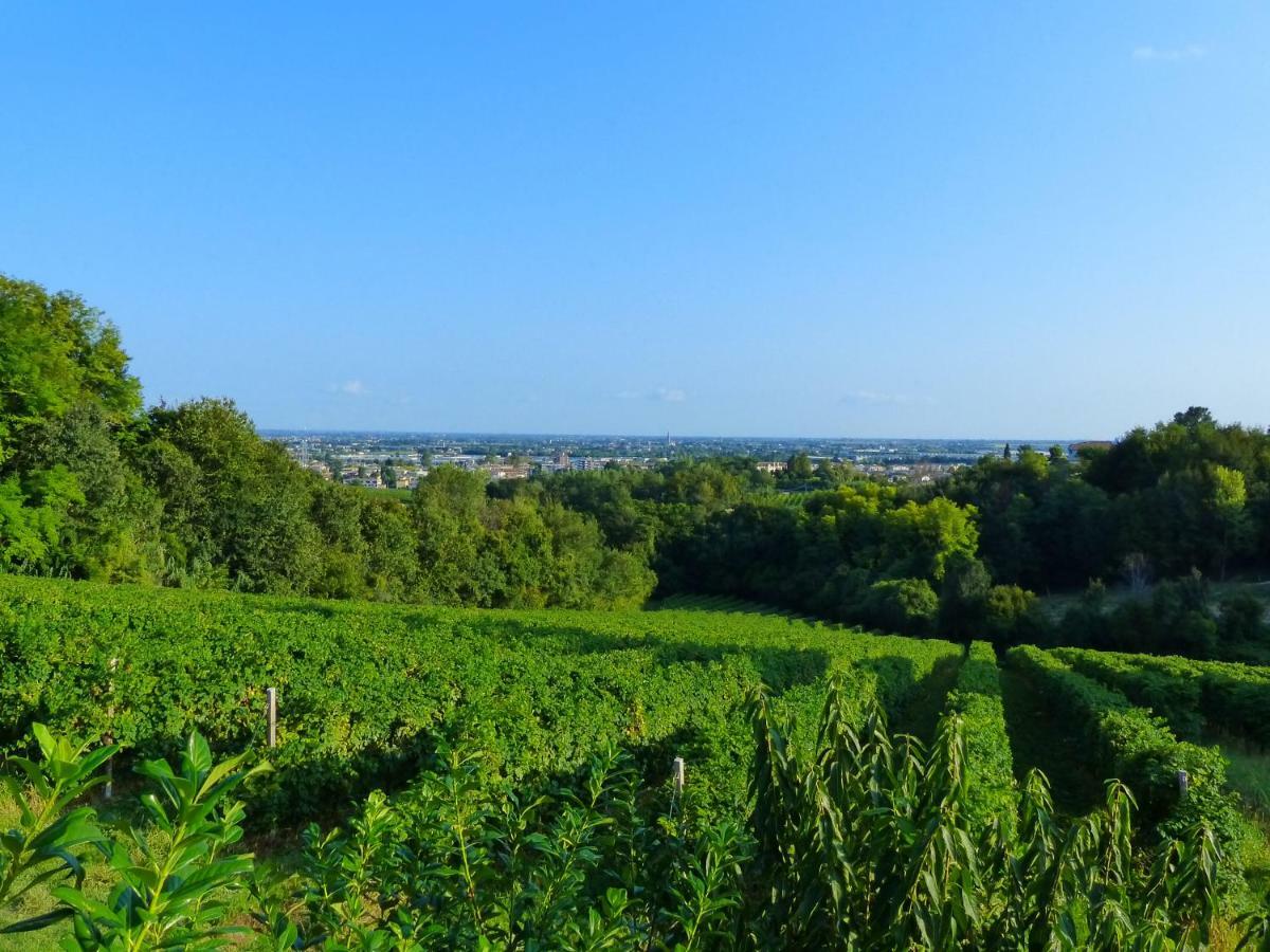 Podere Di Costabella Conegliano Exteriér fotografie